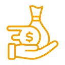 The India Finance
